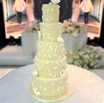 Wedding Cake Terri a.jpg