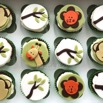 Jungle Cupcakes.jpg
