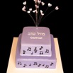 Bat-Mitzvah-Cake.jpg
